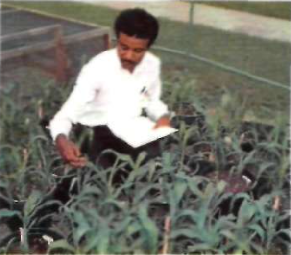 Picture of-prof-Taj-laoata-