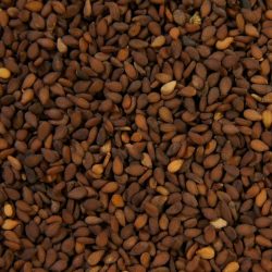 brown sesame.jpeg